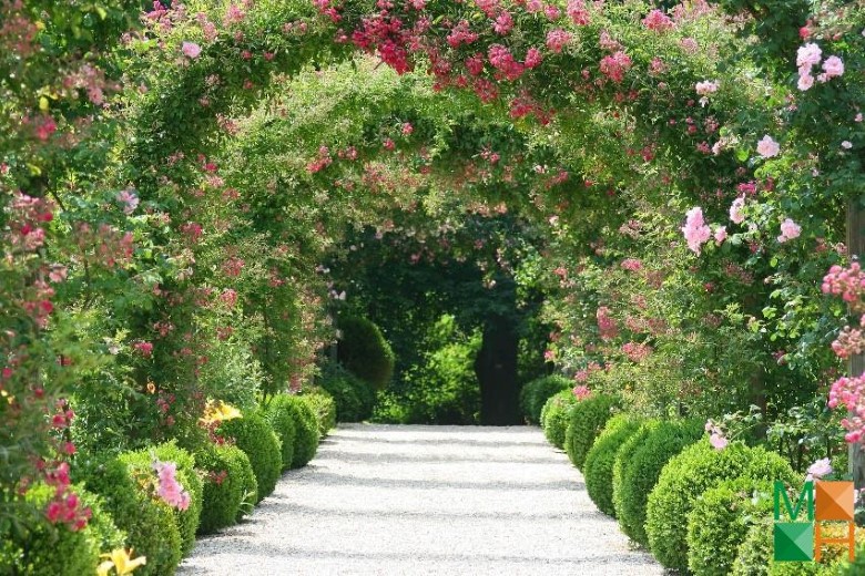 Tranh dán tường Hàn Quốc 3d khổ lớn tại Hà Nội NA - 225